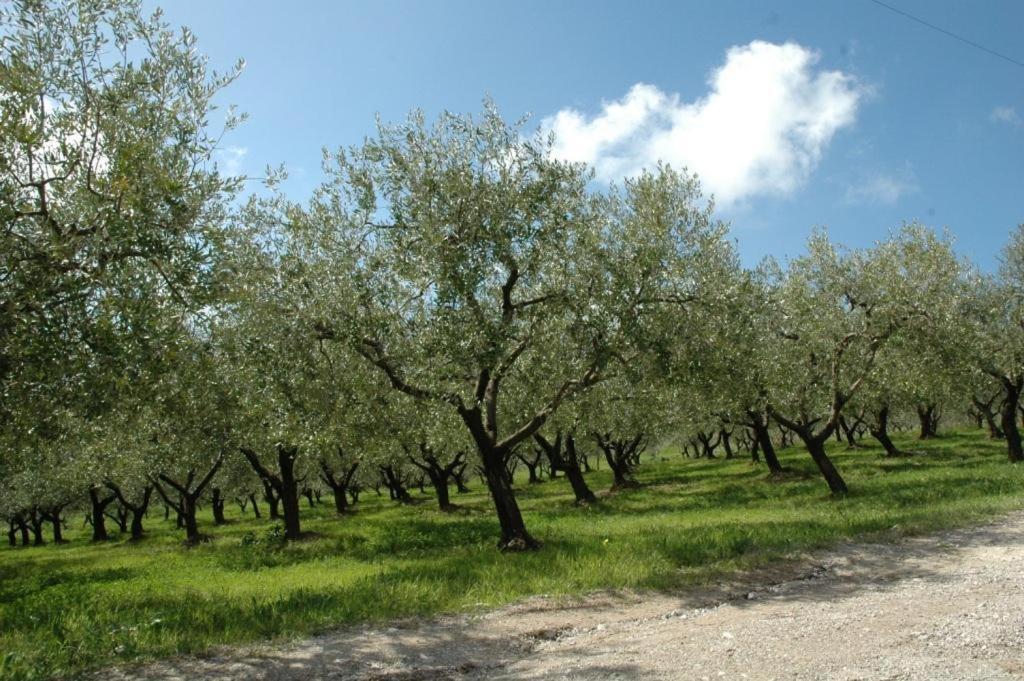 Отель Agriturismo Terra Di Vento Montecorvino Pugliano Экстерьер фото